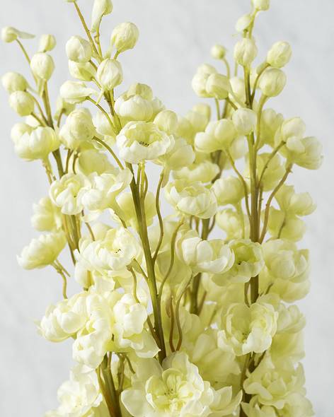 White White Delphinium Stems, Bundle of 4